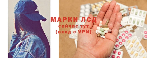 шишки Абаза