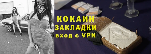 шишки Абаза