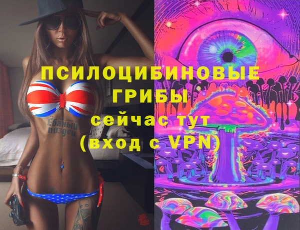 молекула духа Алексеевка