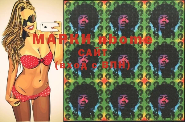 шишки Абаза