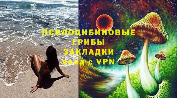 молекула духа Алексеевка