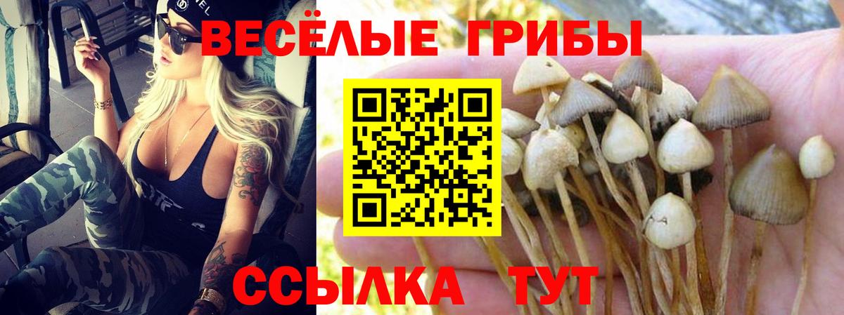 Галлюциногенные грибы Cubensis  Вход с VPN  Псилоцибиновые грибы ЛСД  Алексеевка 