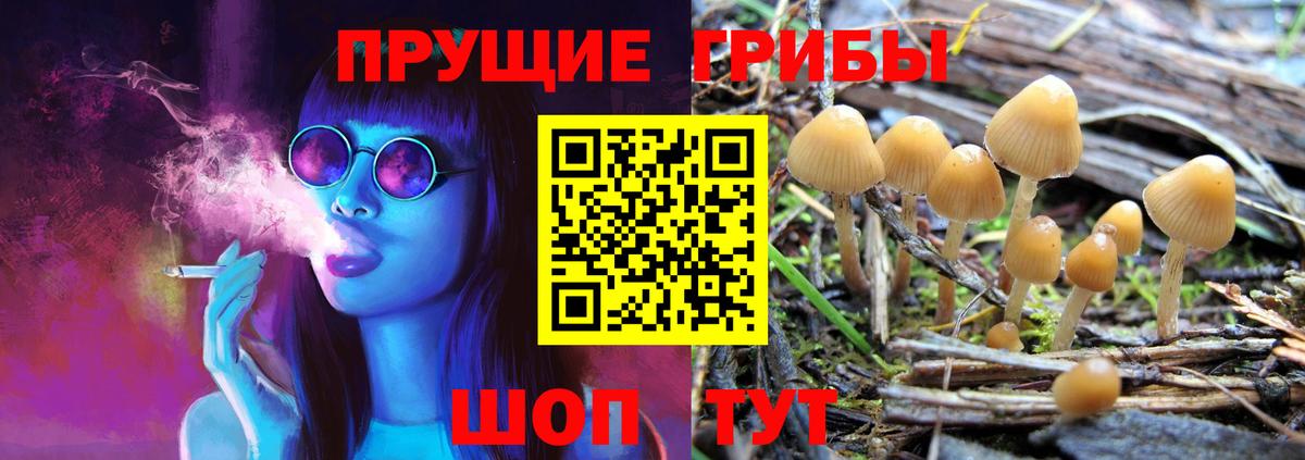 Алексеевка  МАРИХУАНА  ГАШ  Меф МЯУ МЯУ кристаллы  COCAIN  Вход с VPN  ГАШ 